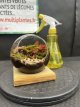 PCCOMP Composition de Carnivores